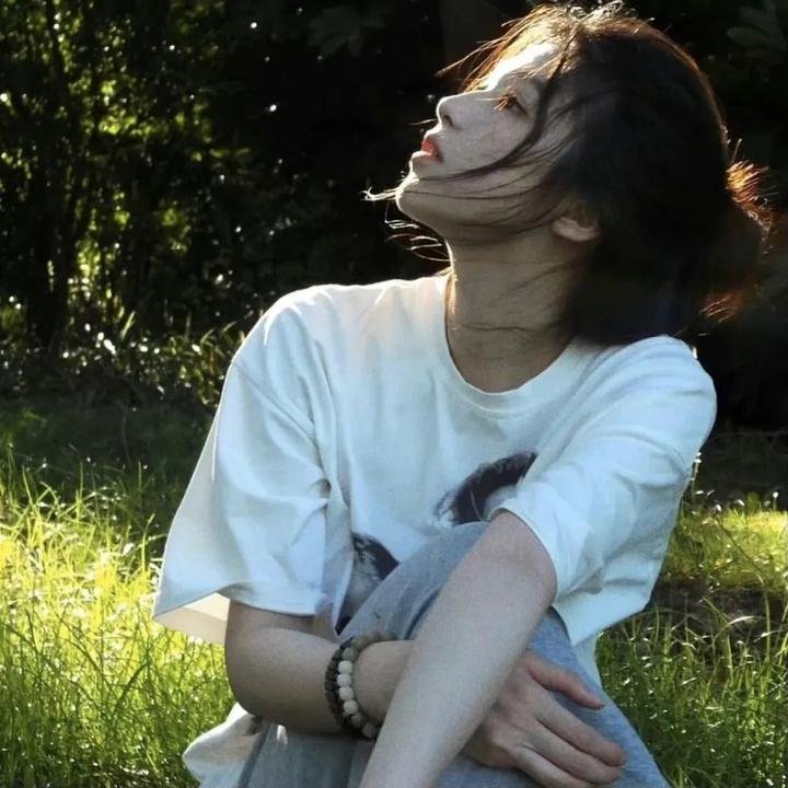 窈窕淑男的日记封面